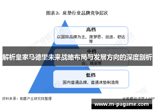 解析皇家马德里未来战略布局与发展方向的深度剖析