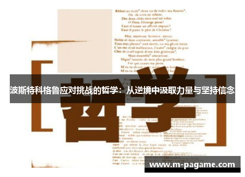 波斯特科格鲁应对挑战的哲学：从逆境中汲取力量与坚持信念