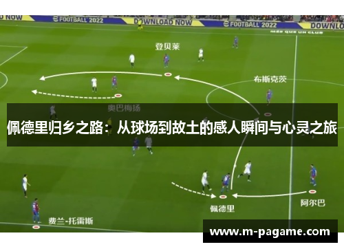 佩德里归乡之路：从球场到故土的感人瞬间与心灵之旅