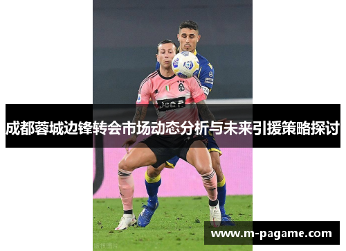 成都蓉城边锋转会市场动态分析与未来引援策略探讨
