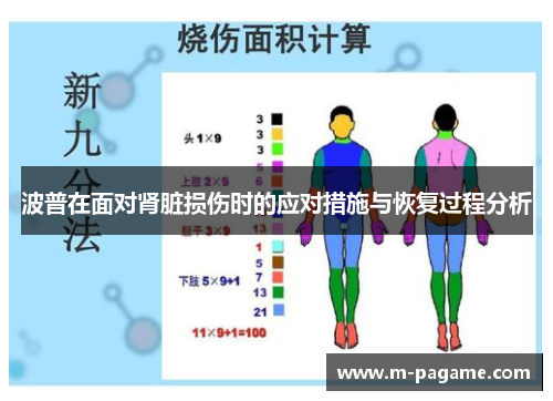 波普在面对肾脏损伤时的应对措施与恢复过程分析