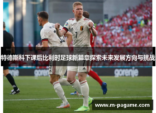 特德斯科下课后比利时足球新篇章探索未来发展方向与挑战