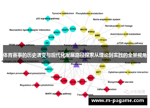 体育赛事的历史演变与现代化发展路径探索从理论到实践的全景视角