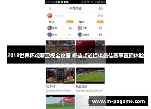 2018世界杯观看卫视全攻略 哪些频道提供最佳赛事直播体验