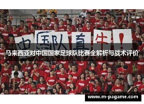 马来西亚对中国国家足球队比赛全解析与战术评价
