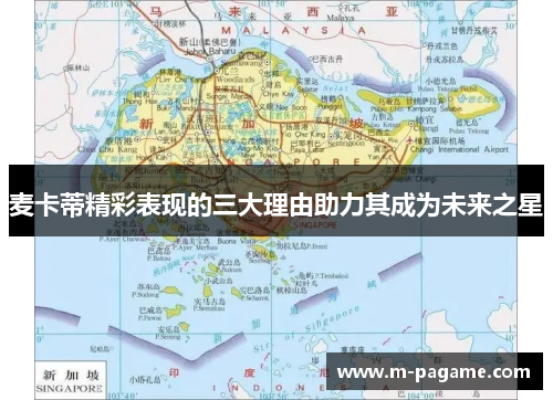 麦卡蒂精彩表现的三大理由助力其成为未来之星