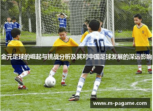 金元足球的崛起与挑战分析及其对中国足球发展的深远影响