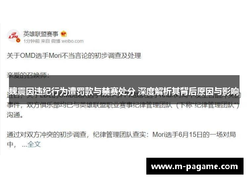 魏震因违纪行为遭罚款与禁赛处分 深度解析其背后原因与影响