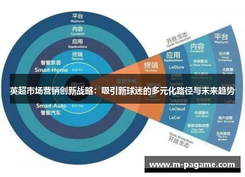 英超市场营销创新战略：吸引新球迷的多元化路径与未来趋势