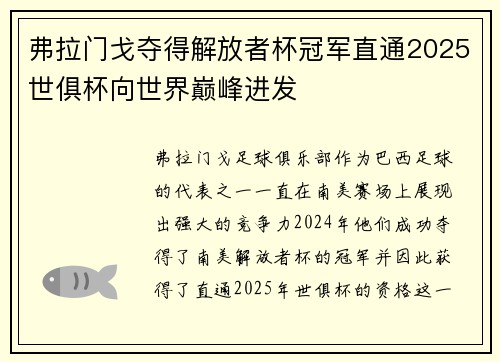 弗拉门戈夺得解放者杯冠军直通2025世俱杯向世界巅峰进发