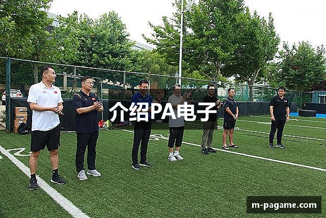介绍PA电子